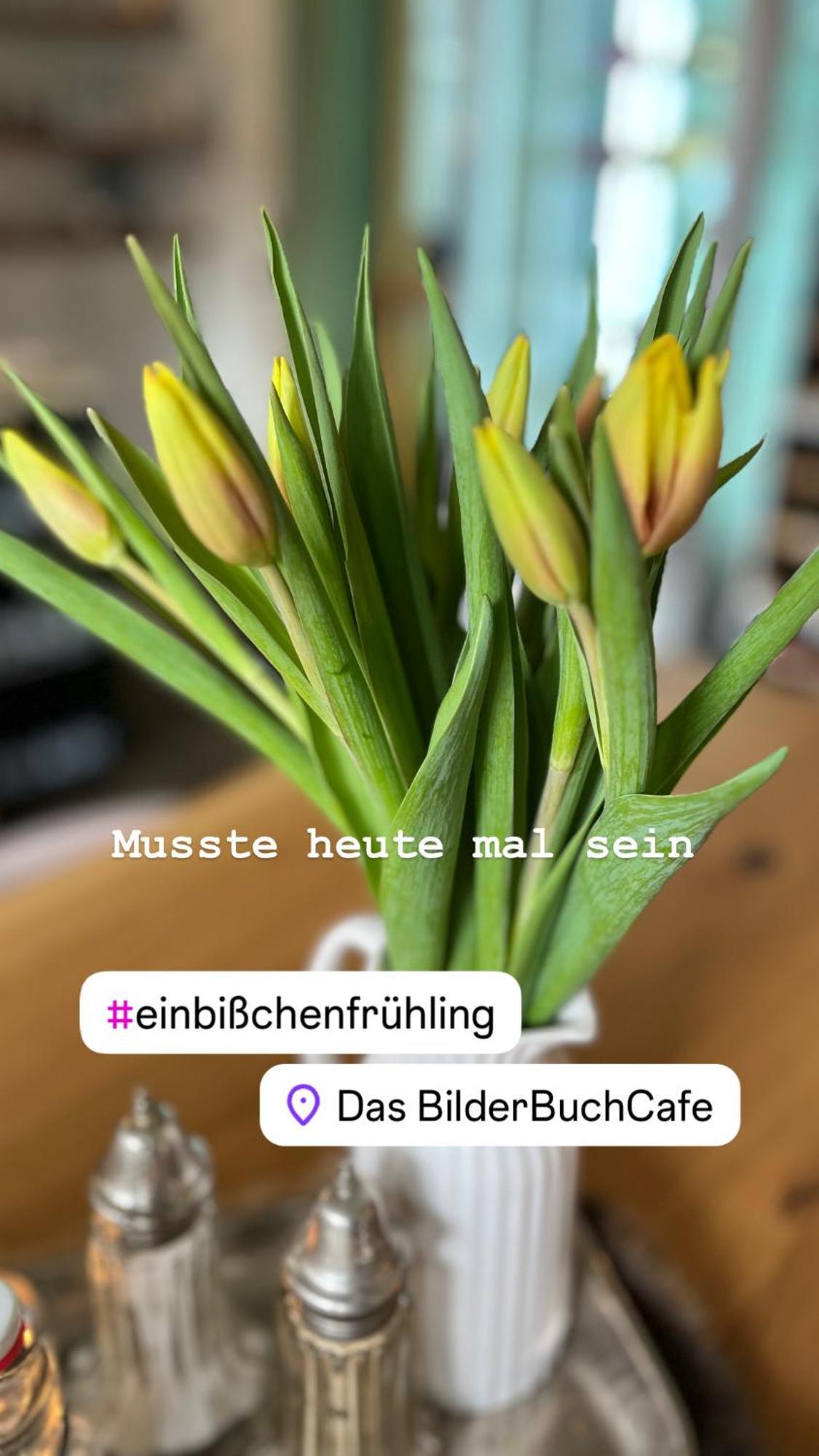Das Bilderbuchcafe - Ferien Apartment No 5 - Markt 7 Havelberg Zewnętrze zdjęcie